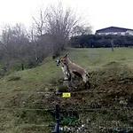 Bellavie - Penzion La Bresse