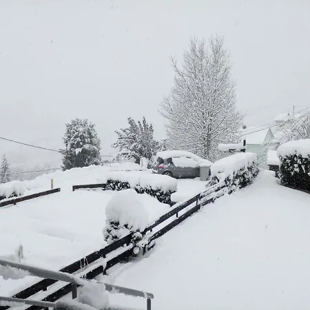 Bellavie *