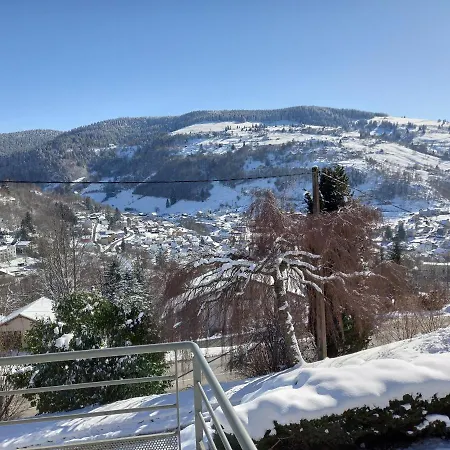 Bellavie - *