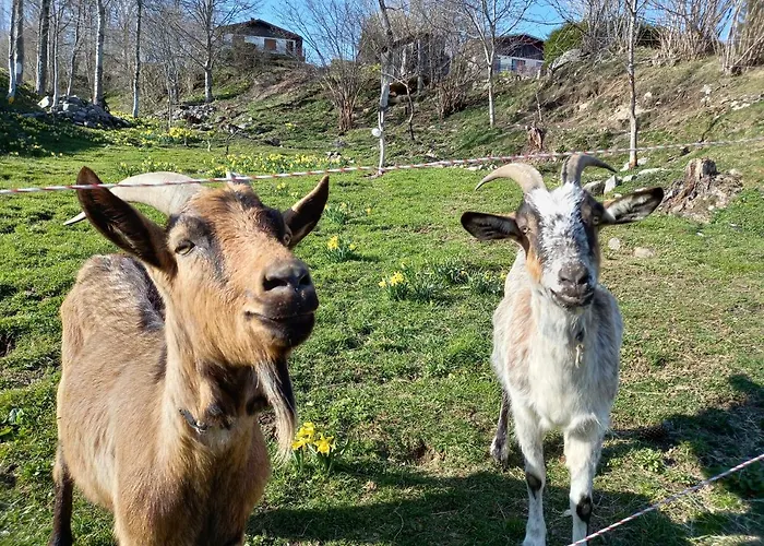 Bellavie - Casa de hóspedes
