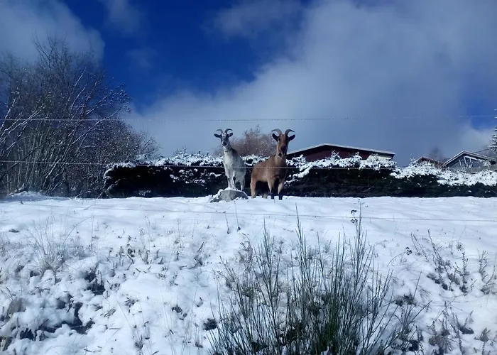 Casa de hóspedes Bellavie - 4*