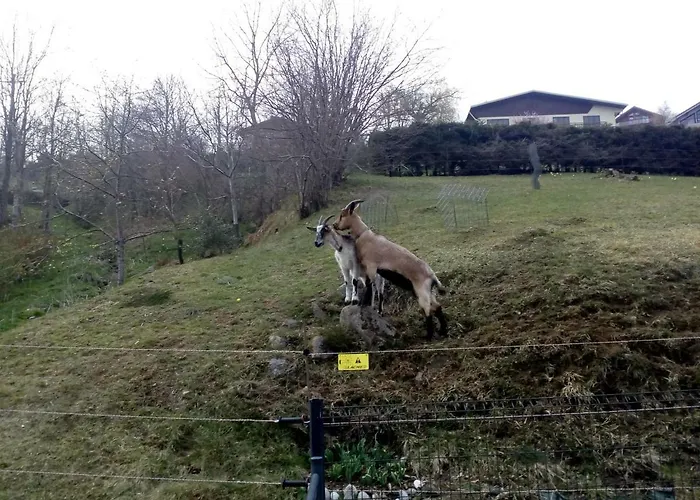 Bellavie - Casa de hóspedes La Bresse